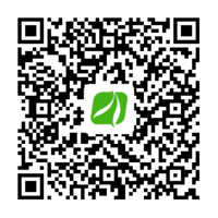 金柳網(wǎng)校APP